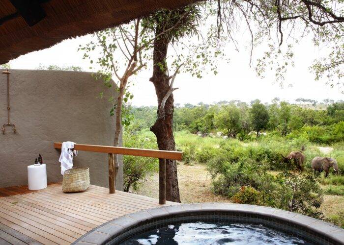 Private pool and wooden deck overlooking the bush in the Kruger Park