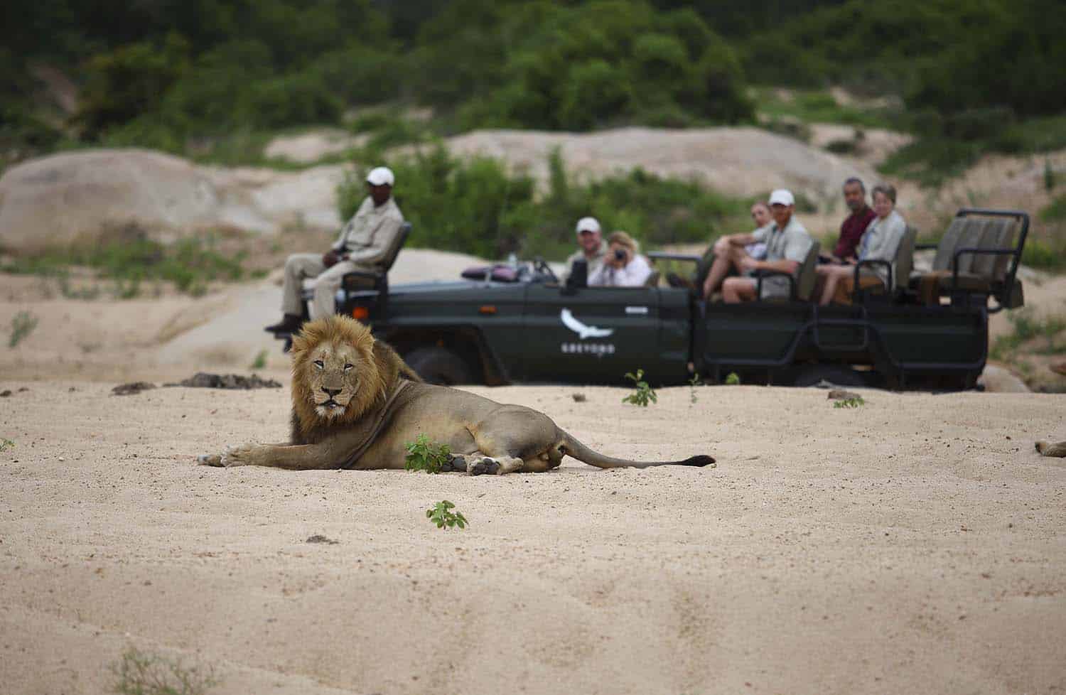 Kruger National Park