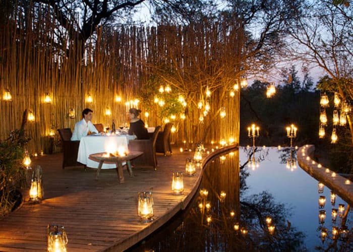 Spectacular African Safari