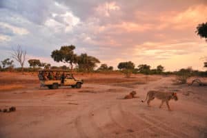 Mana Pools Explorer - Voyage2Africa
