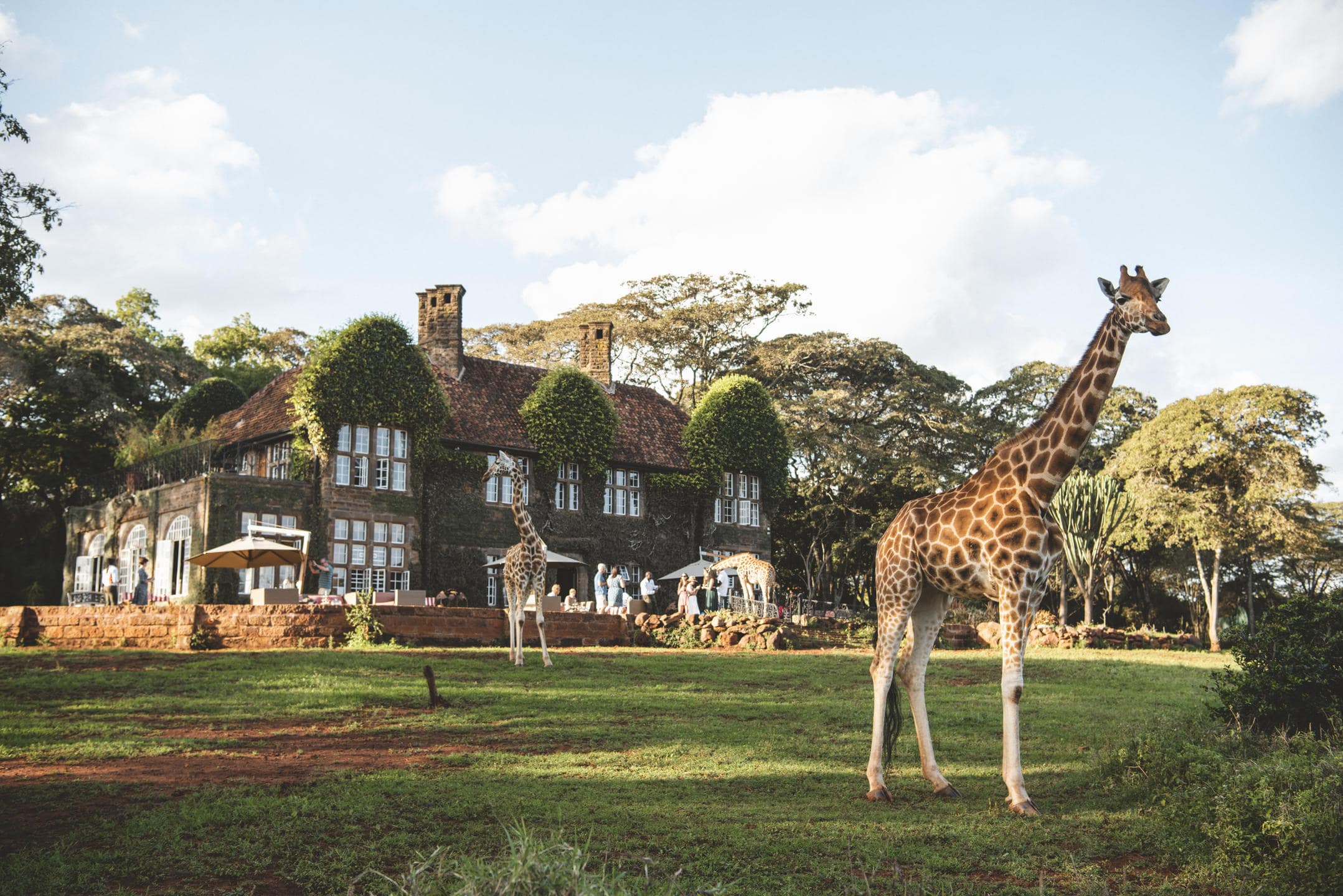 Giraffe Manor Kenya Safari Accommodation Giraffe Manor Kenya Safari Accommodation