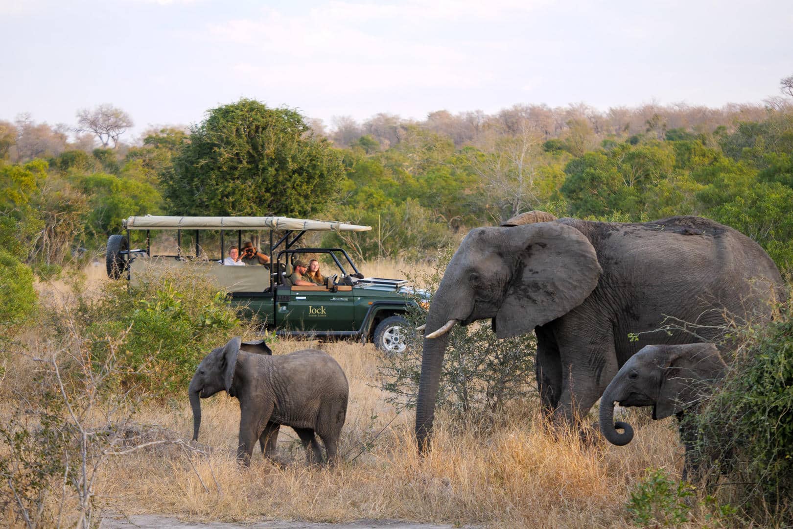 Kruger National Park Safari 2026 Why Visit 