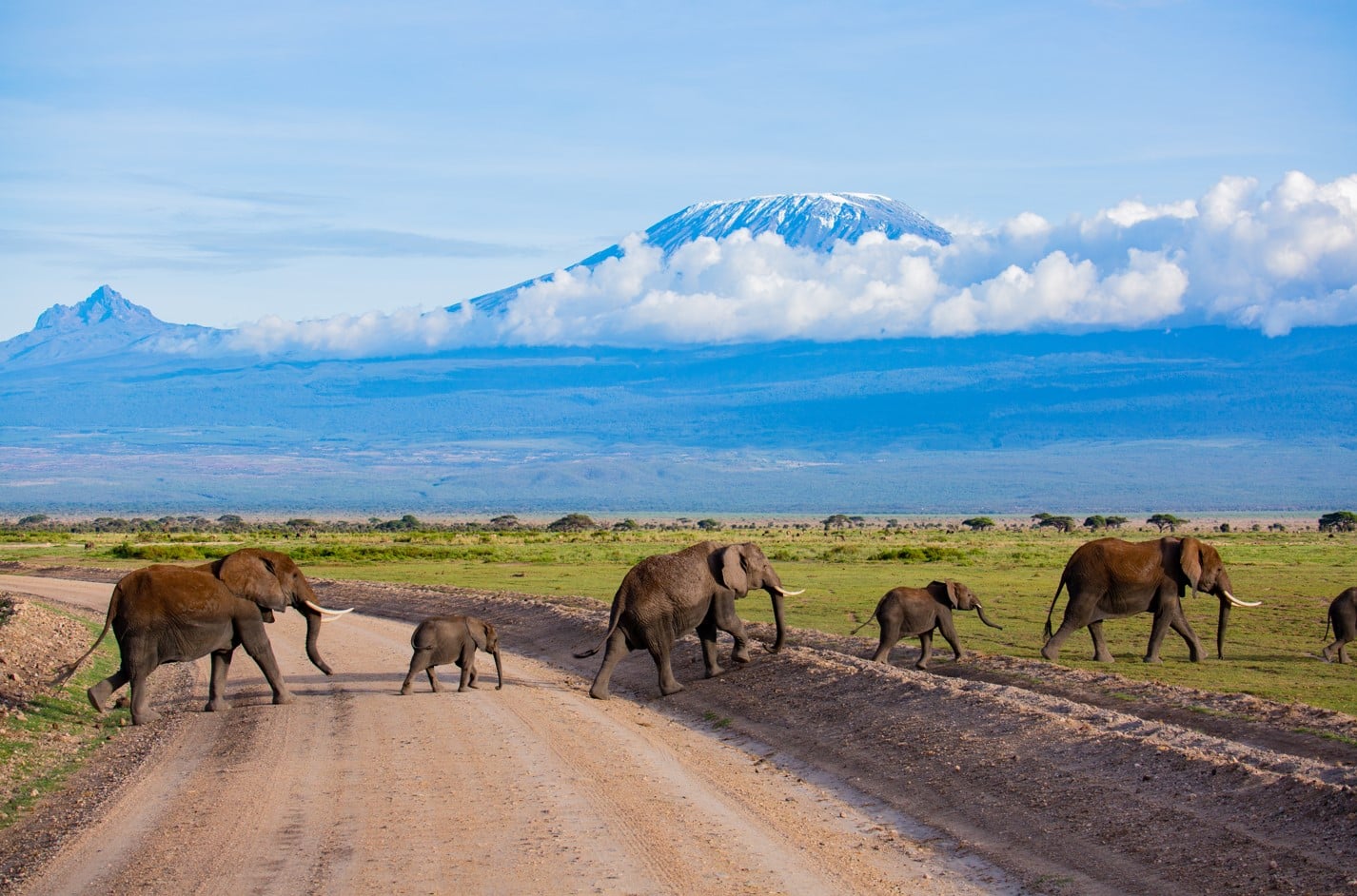 Kenya National Parks Guide 2026 Wildlife Landscapes Lodges