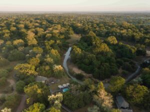 Aerial scene of winding dirt roads through golden woodland near Muzimu Tented Camp, Gorongosa