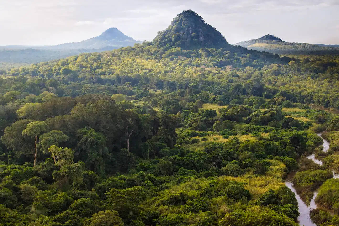 aerial view of the national park of Gorongosa in Mozambique