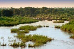 African Safari Packages