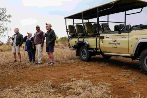 Guests enjoying a break during a game drive at Honeyguide Mantobeni Camp in Manyeleti