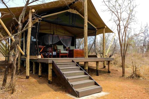 Raised safari tent with outdoor seating at Honeyguide Mantobeni Camp in Manyeleti